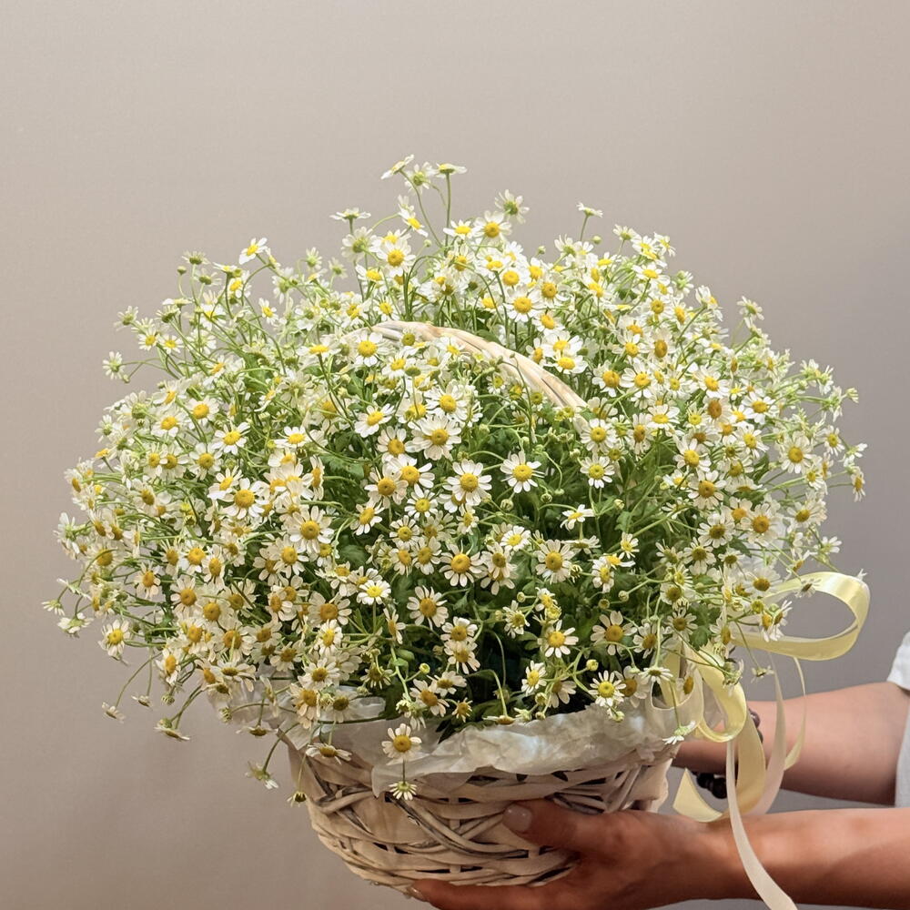 Корзина с ромашками День семьи