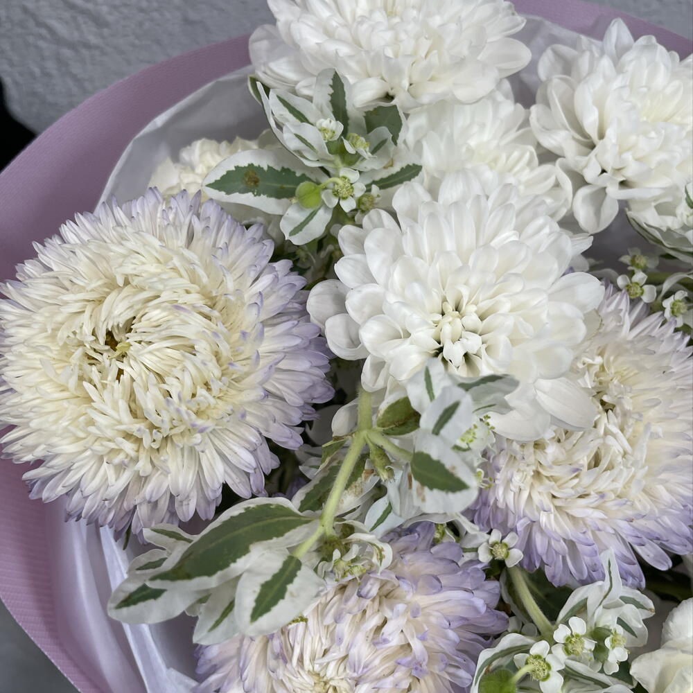 Букет из хризантемы, альстромерии, диантуса, астры и молочая💐
