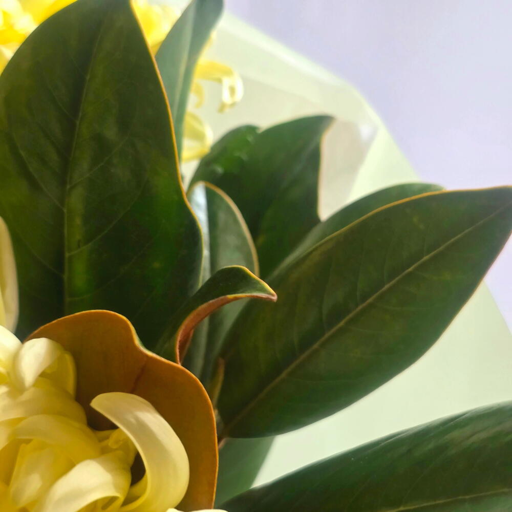 Букет из хризантемы сорта Виенна Крем и Листьев Магнолии
