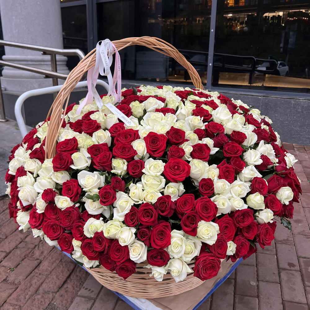 Корзина из 501 красных и белых роз