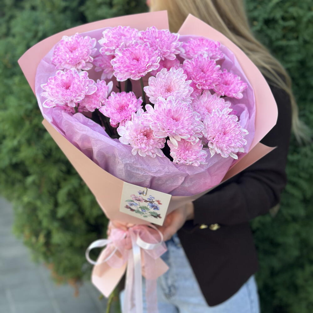 Розовые хризантемы