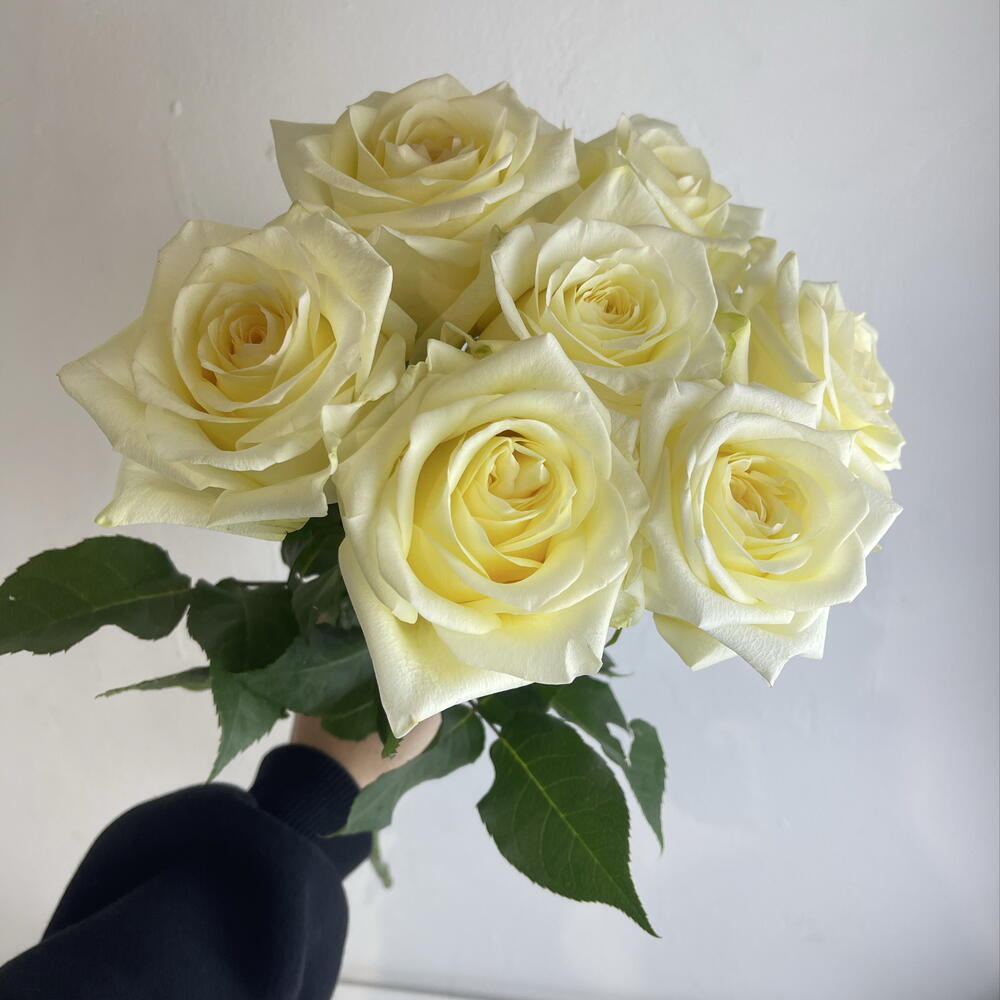 Розы Канделайт 7