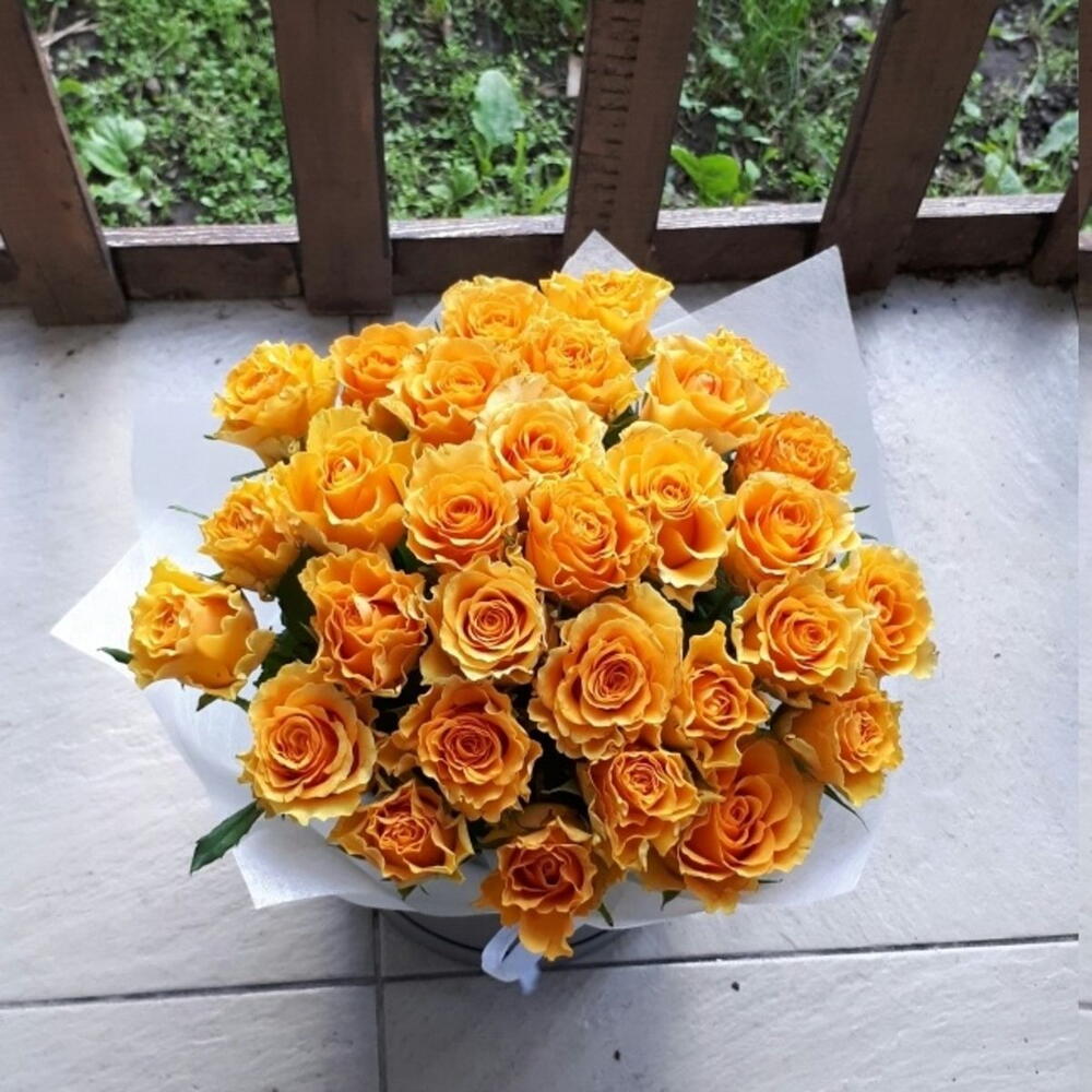 Солнечные розы