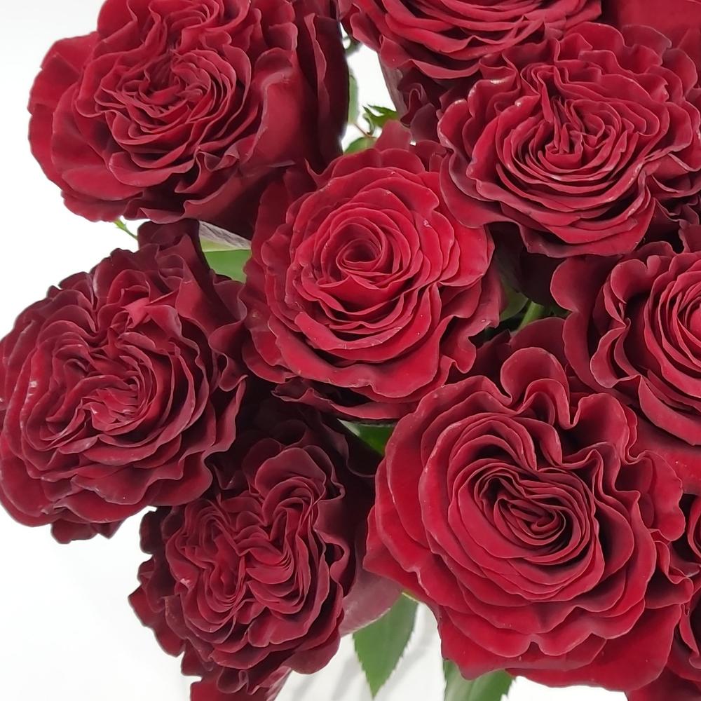 Роза Hearts 50см