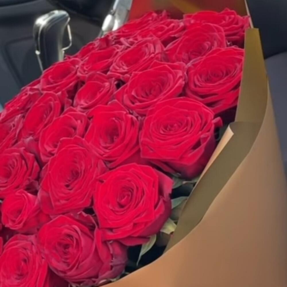 Rose Explorer