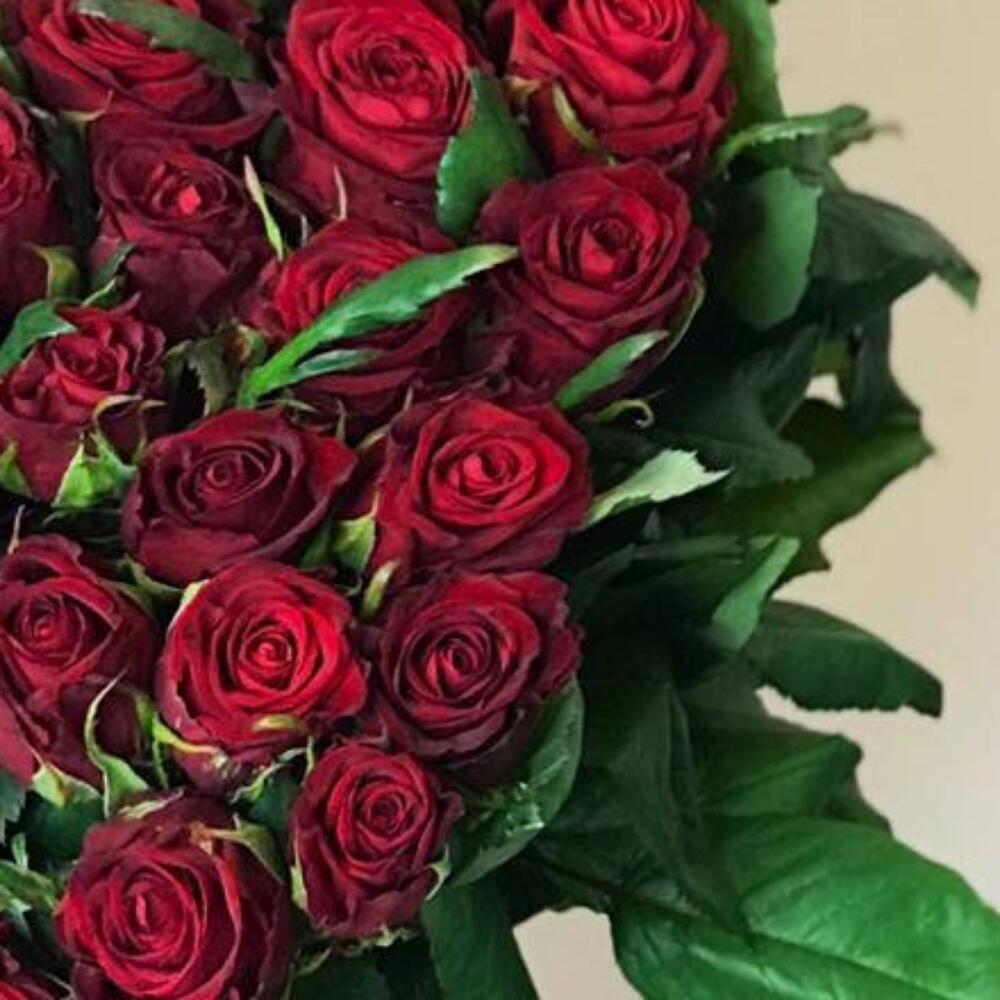 Вместо 1000 слов😍🌹