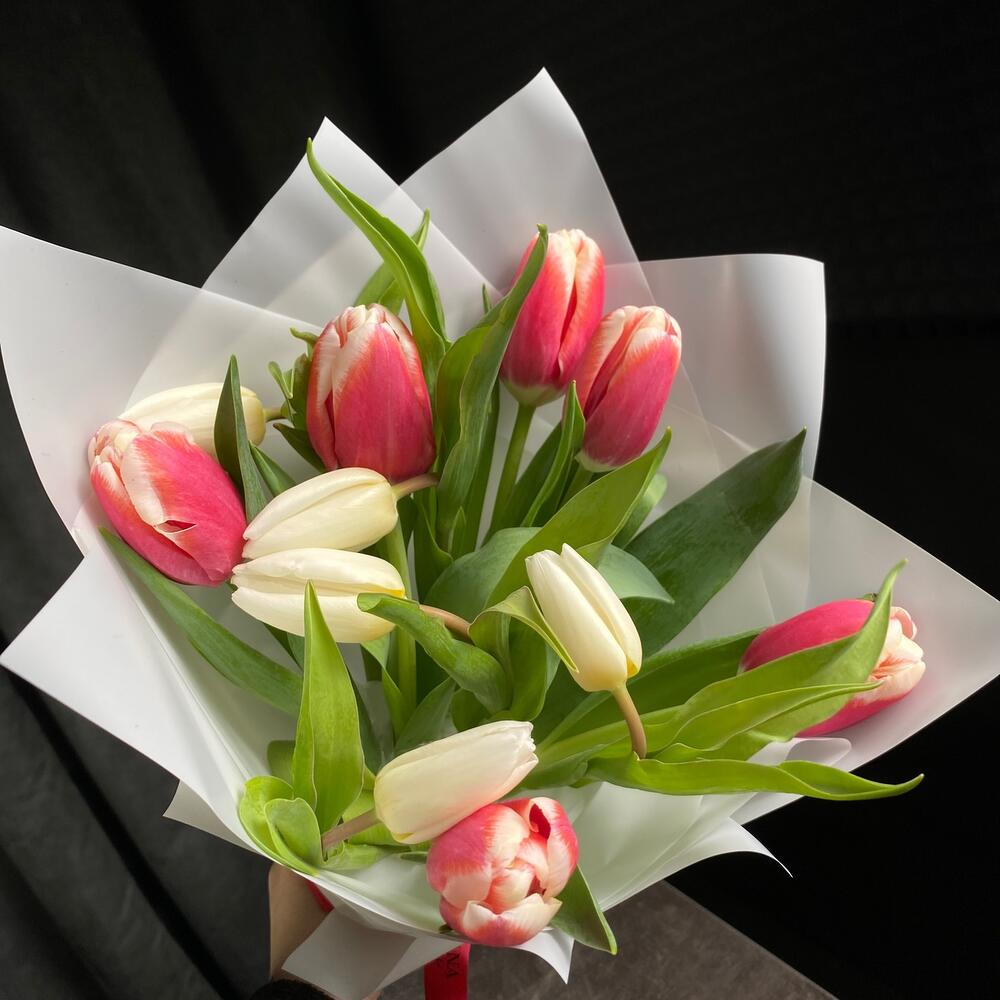 Tulips