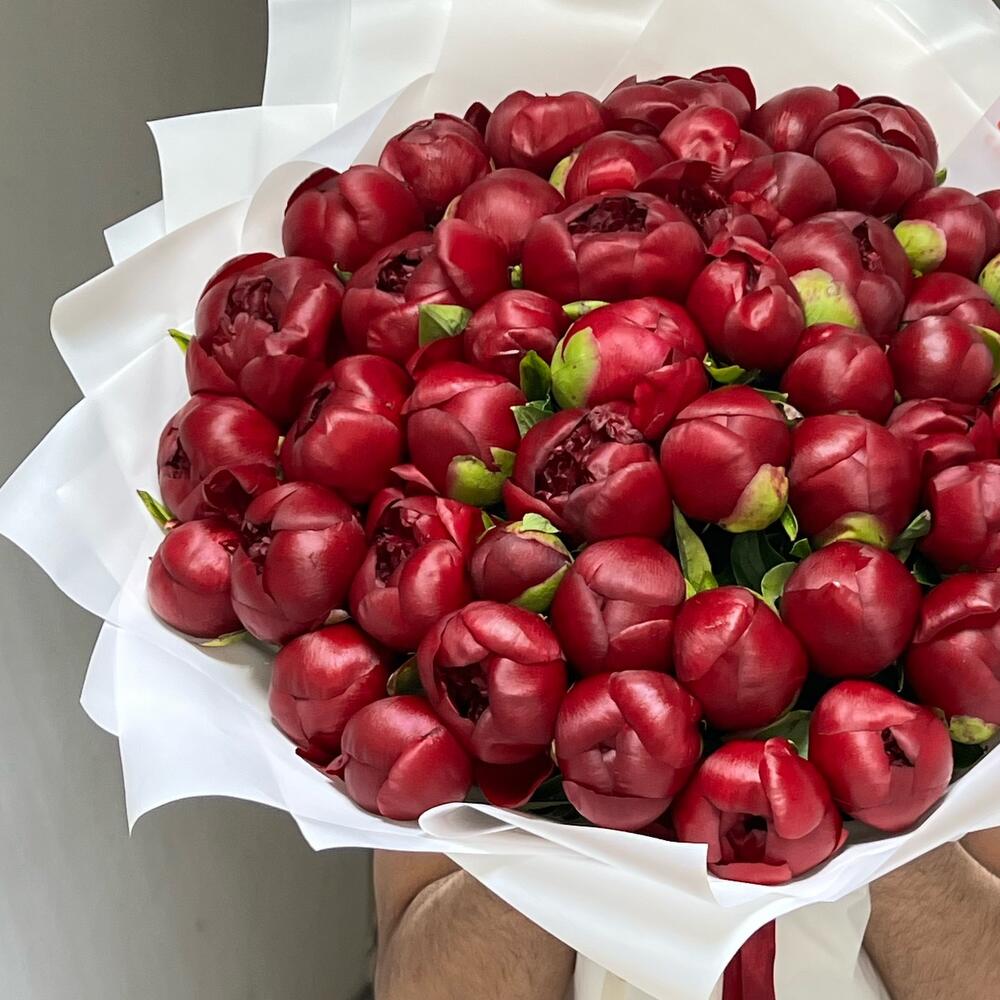 Пионы бордовые Премиум