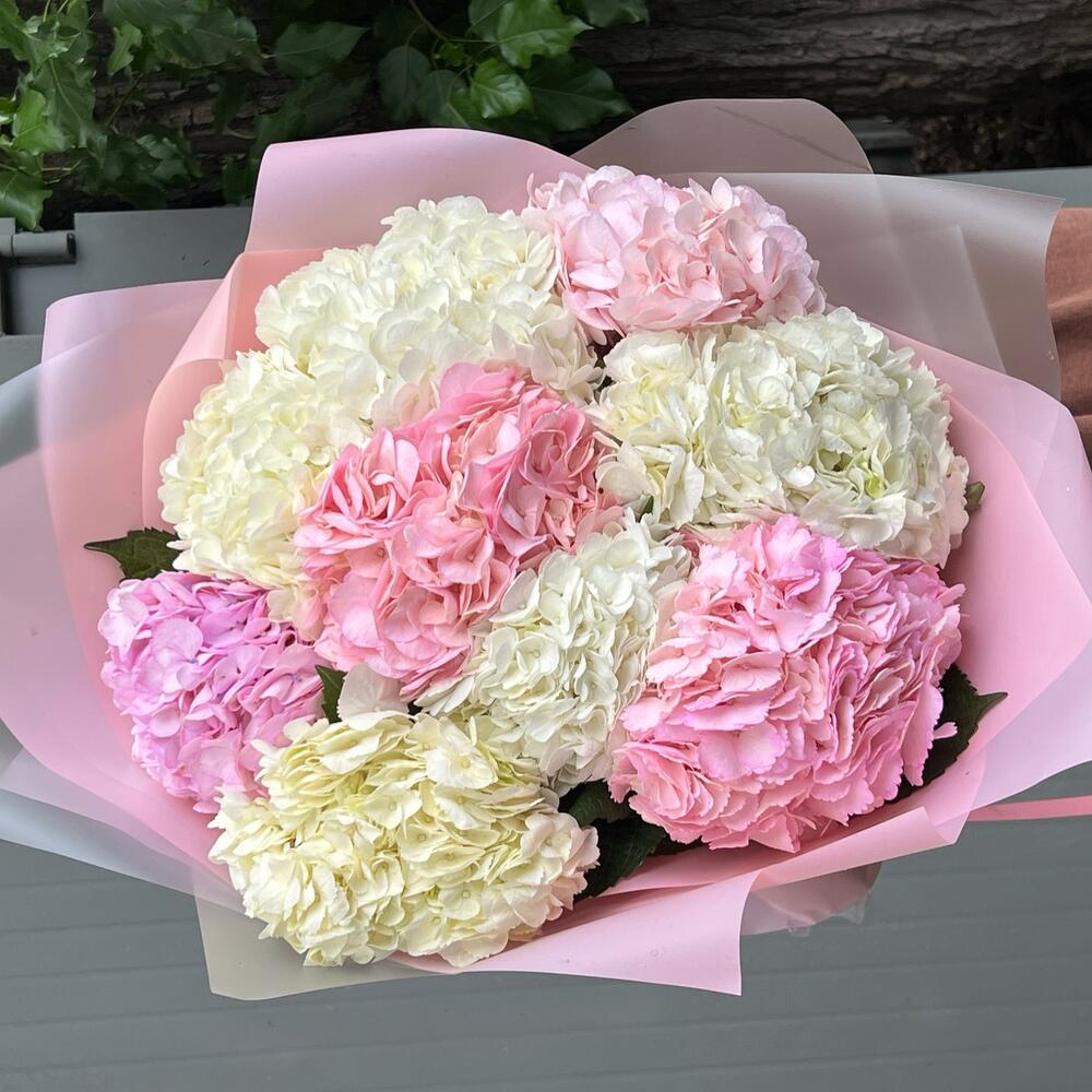 Hydrangea mix
