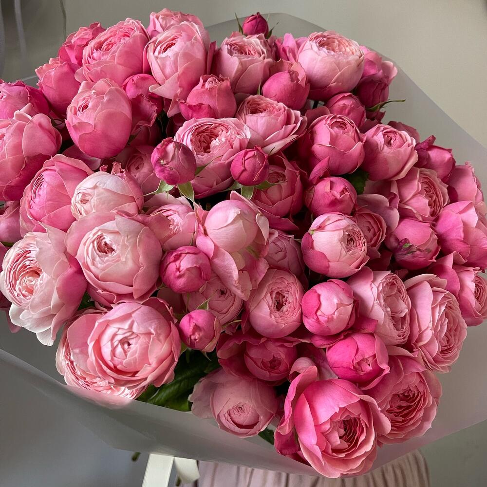 15 кустовых пионовидных роз🌸