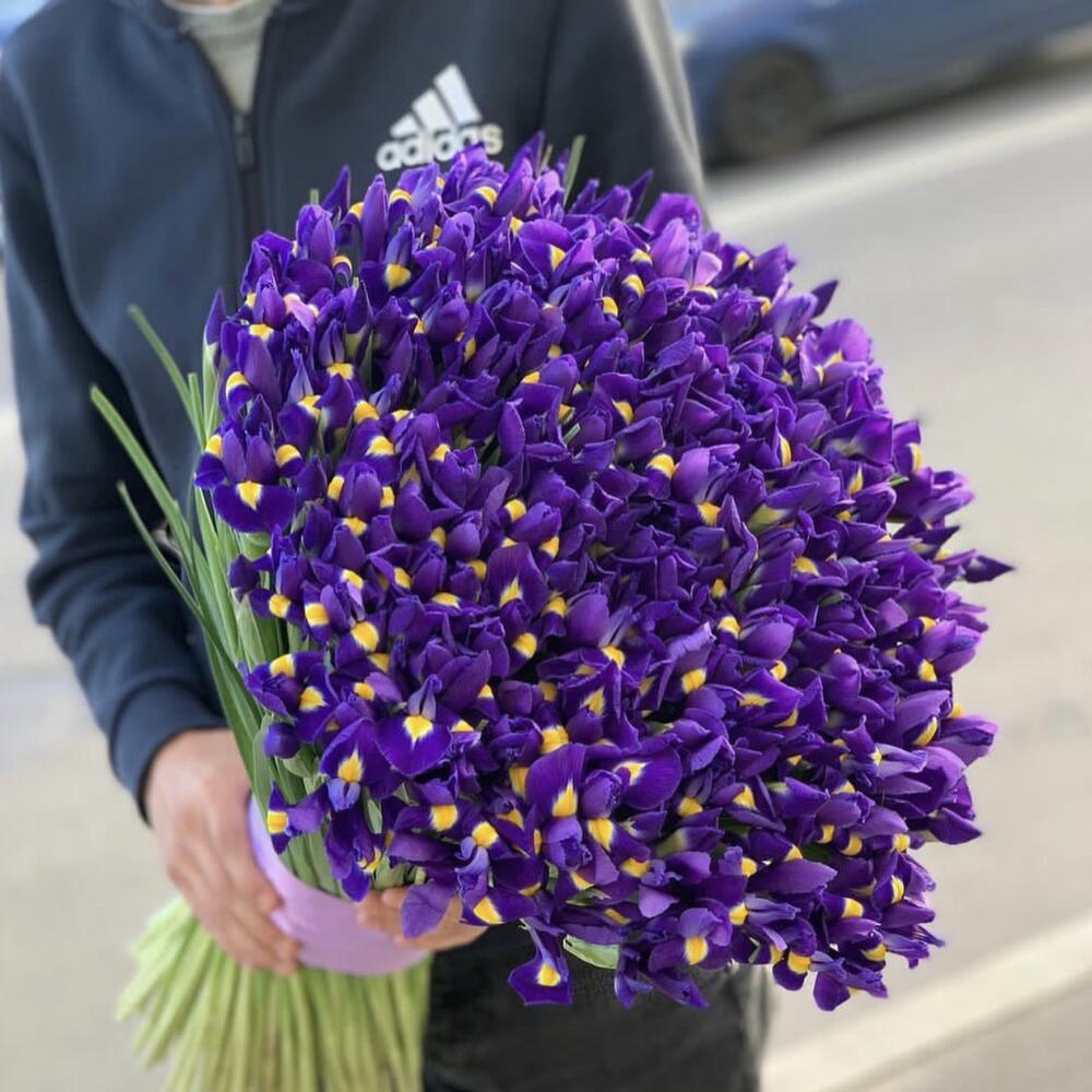 Ирисы