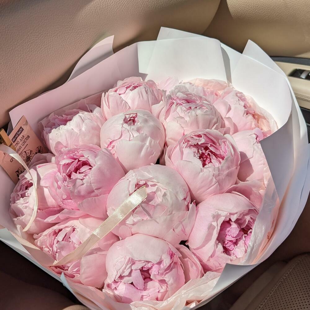 15 розовых пионов
