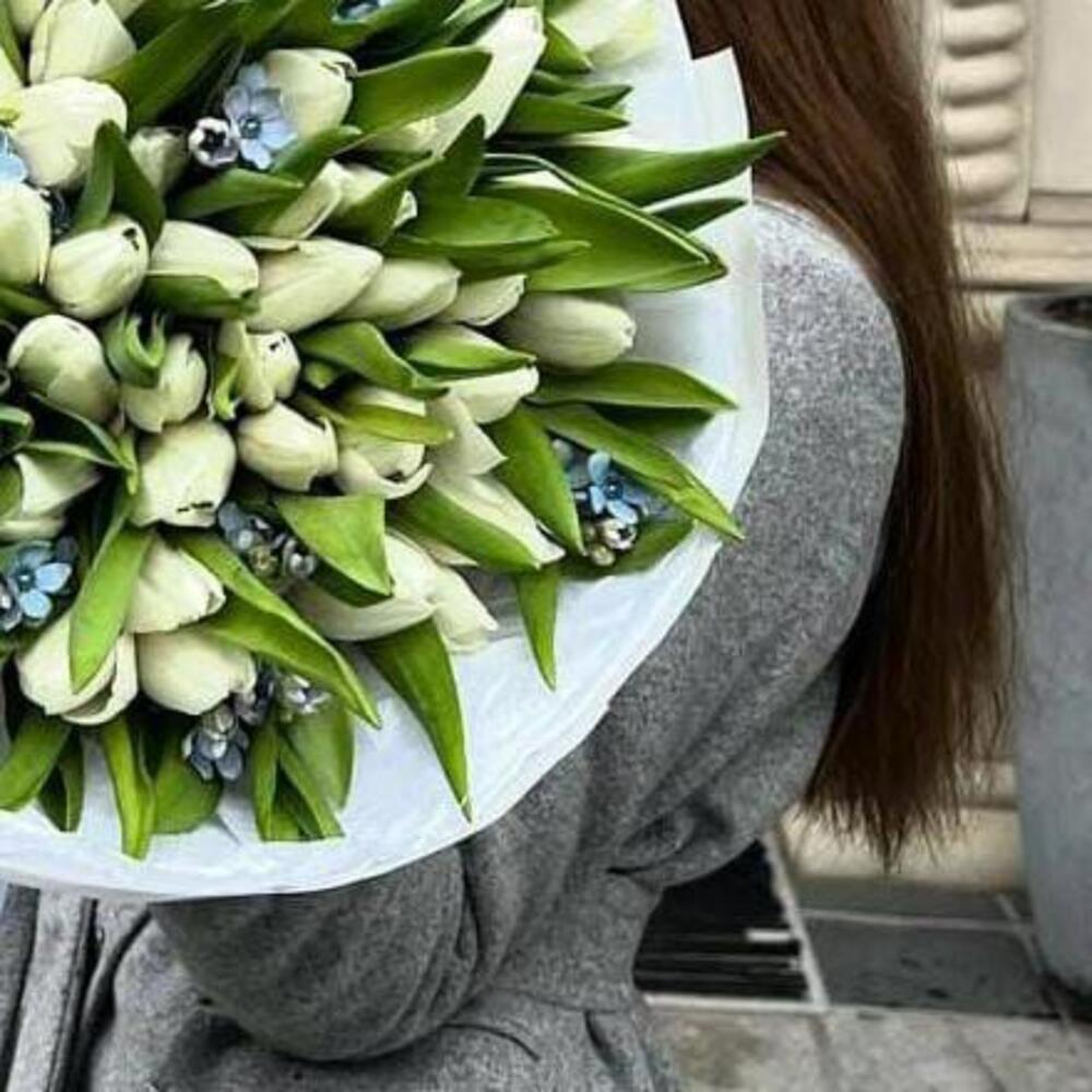 Тюльпаны 101 шт и оксипеталум