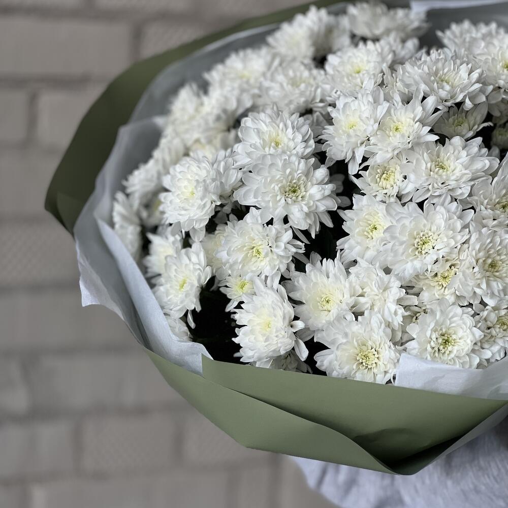 Букет из 15 кустовых хризантем «Дыхание весны»