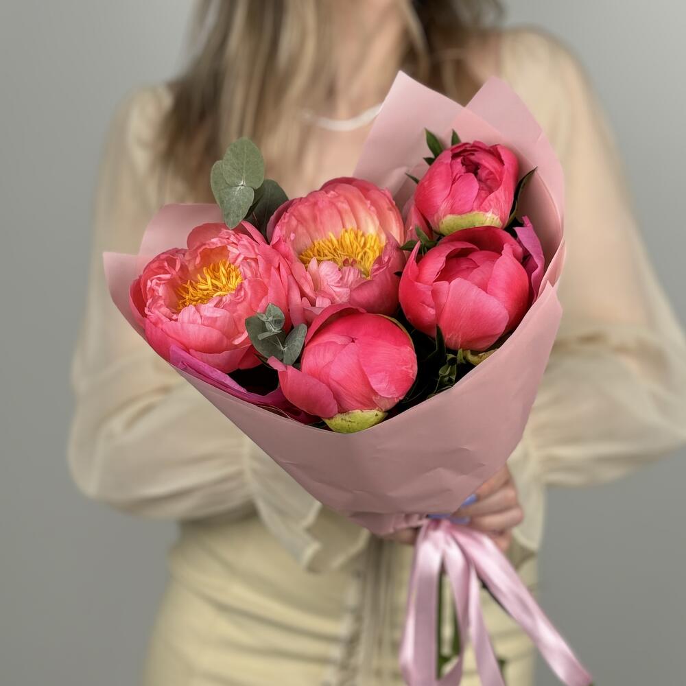 Пионы Coral Charm 5шт