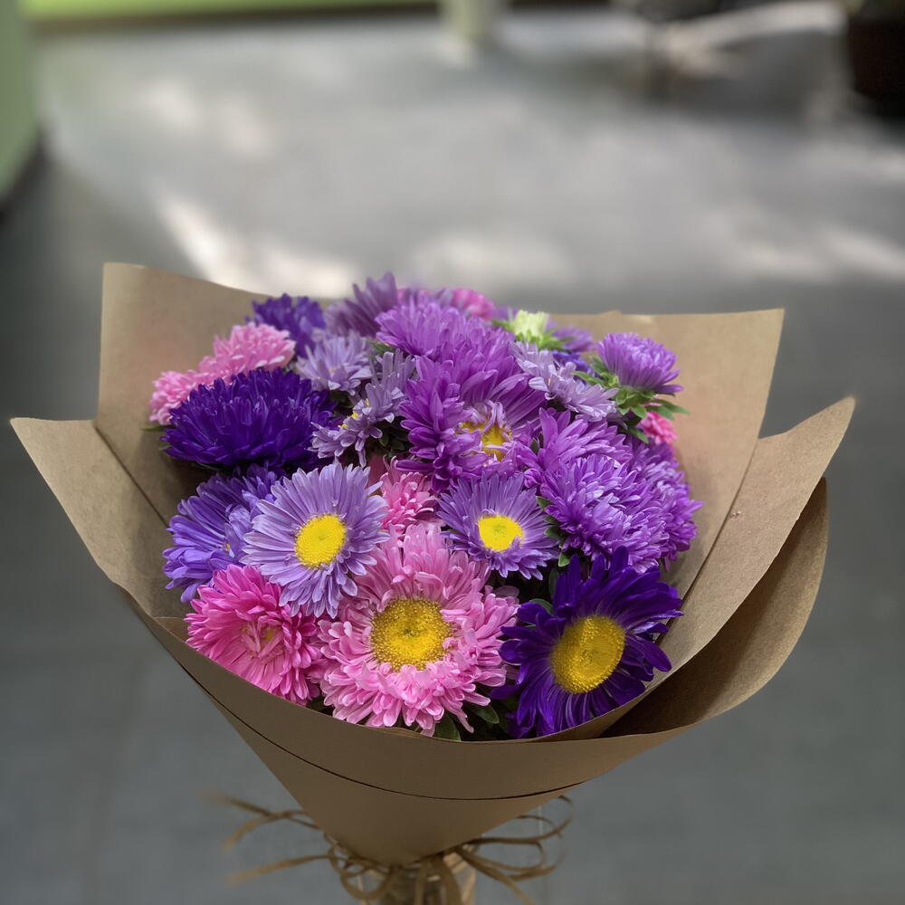 Asters mix in craft
