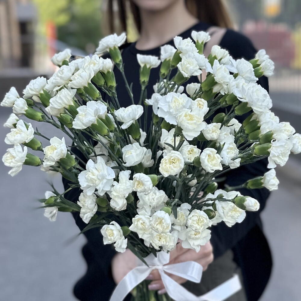 Кустовая гвоздика (диантус) белая
