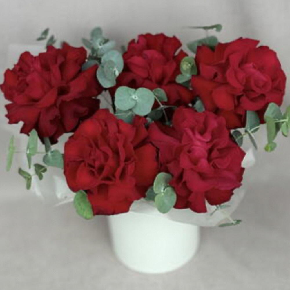 5 французских красных роз в шляпной коробке🌹