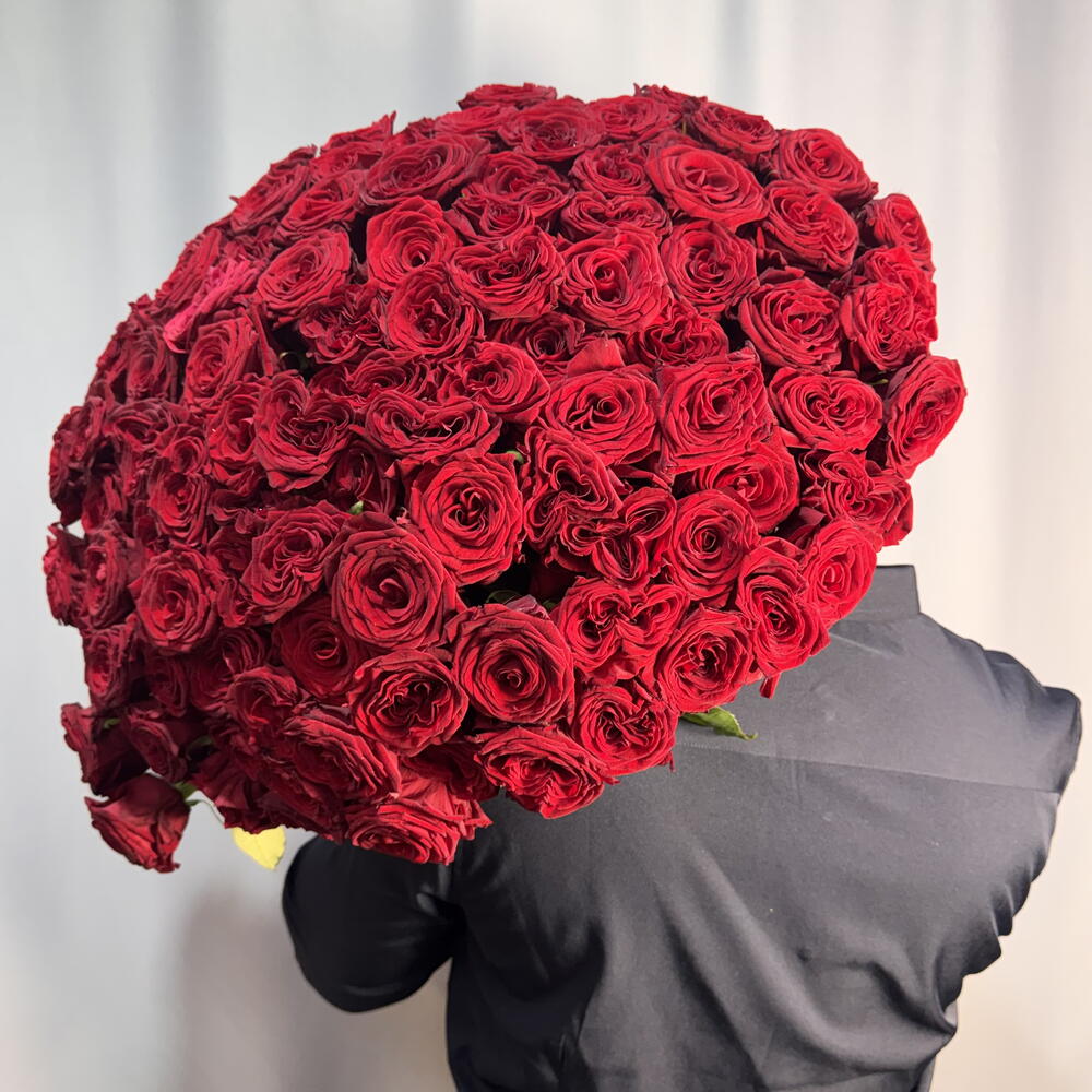 101 красная Роза  🌹 ♥️