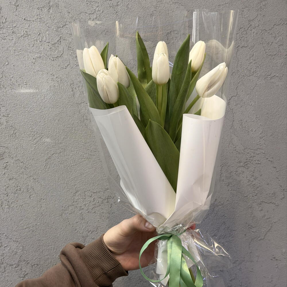 Тюльпаны 🌷