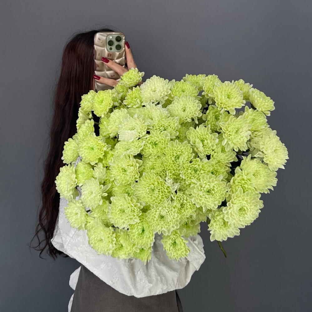 Охапка💚 Фисташковая Хризантема Алтай 15 шт