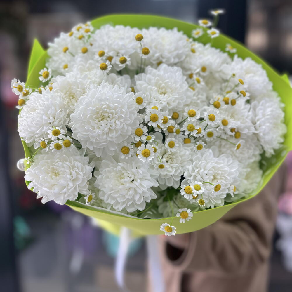 Ромашки и хризантемы