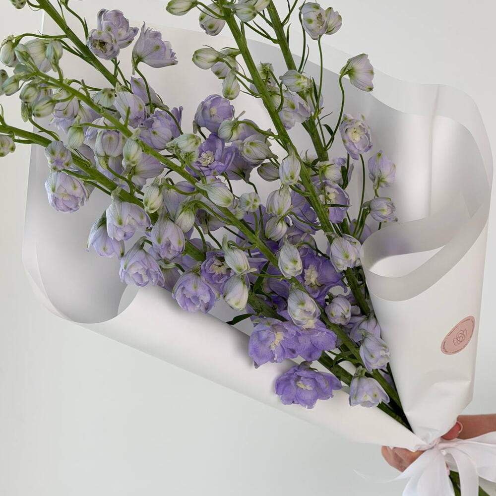 Букет из 5 дельфиниумов