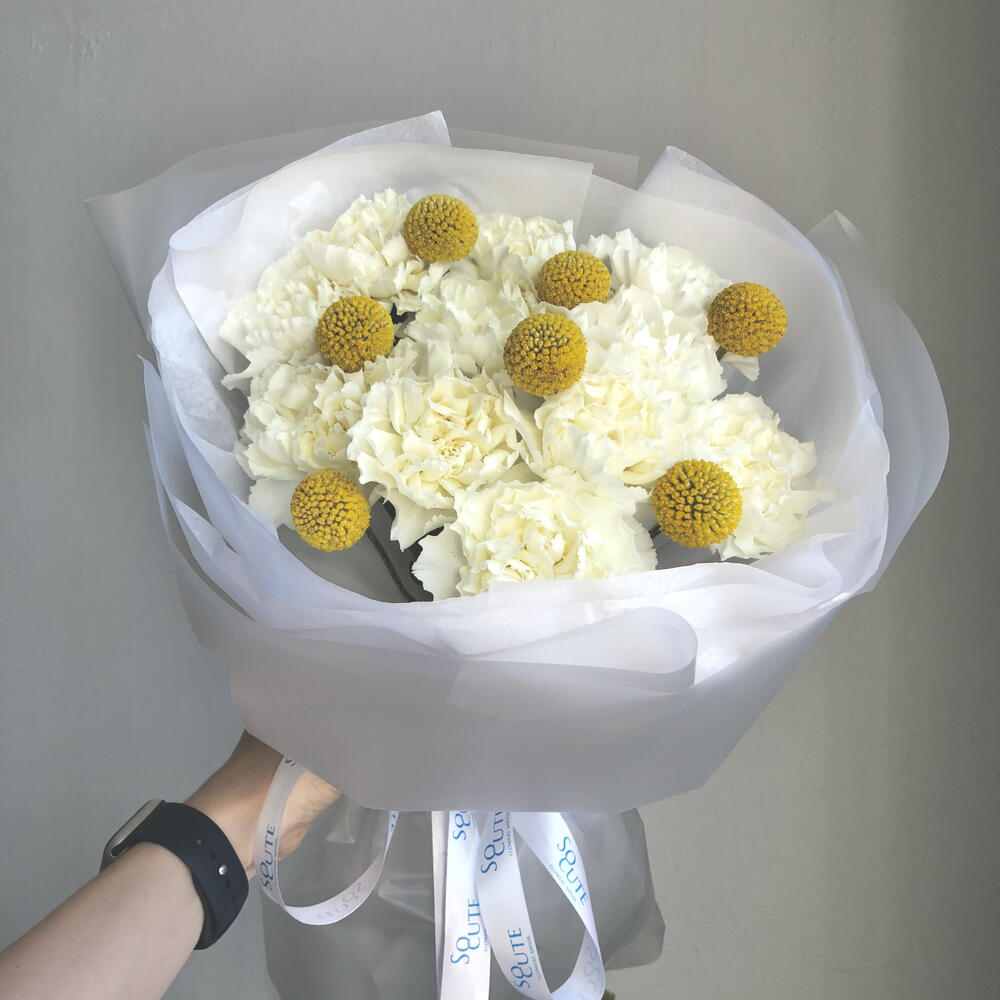 Букет из диантусов и краспедией N 903 + подарок от Vivienne Sabo — румяна MACARON