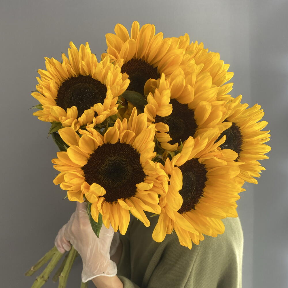 Монобукет солнечный 🌻 яркие подсолнухи 🌻🌻🌻 7 шт