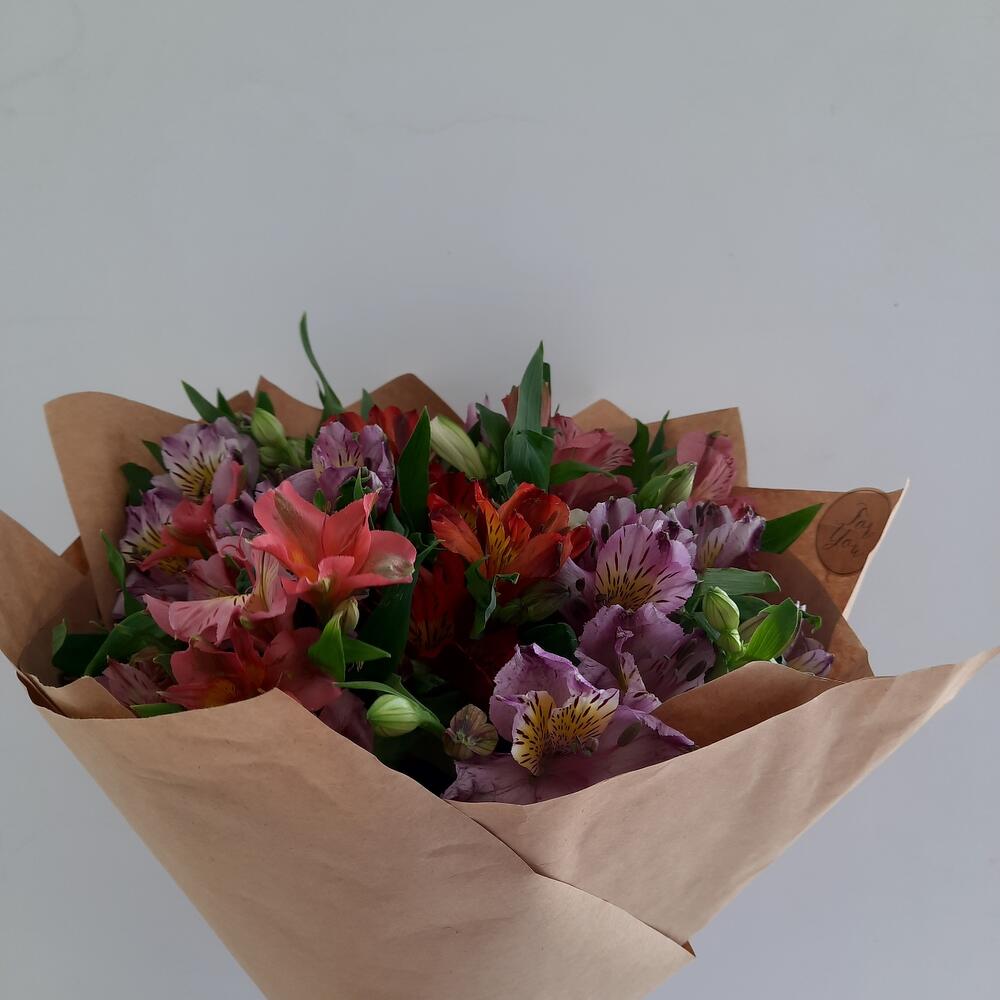 Alstroemeria mix