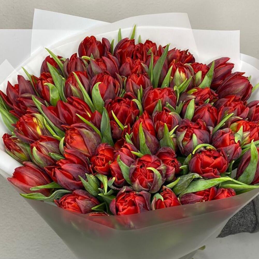 Бордовые тюльпаны купить цветы эсто садок