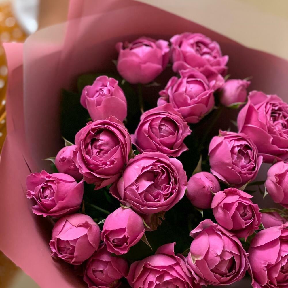 9 Misty Bubbles spray peony roses