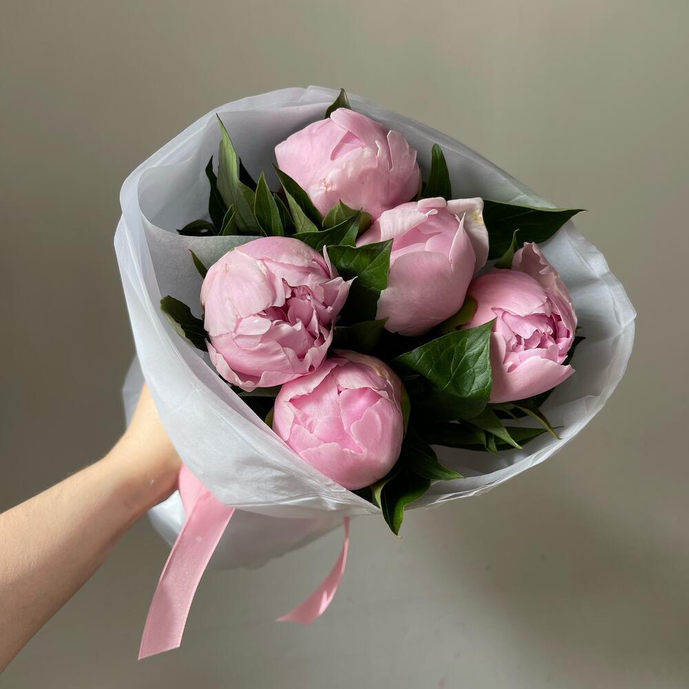 5   нежно розовые пионов