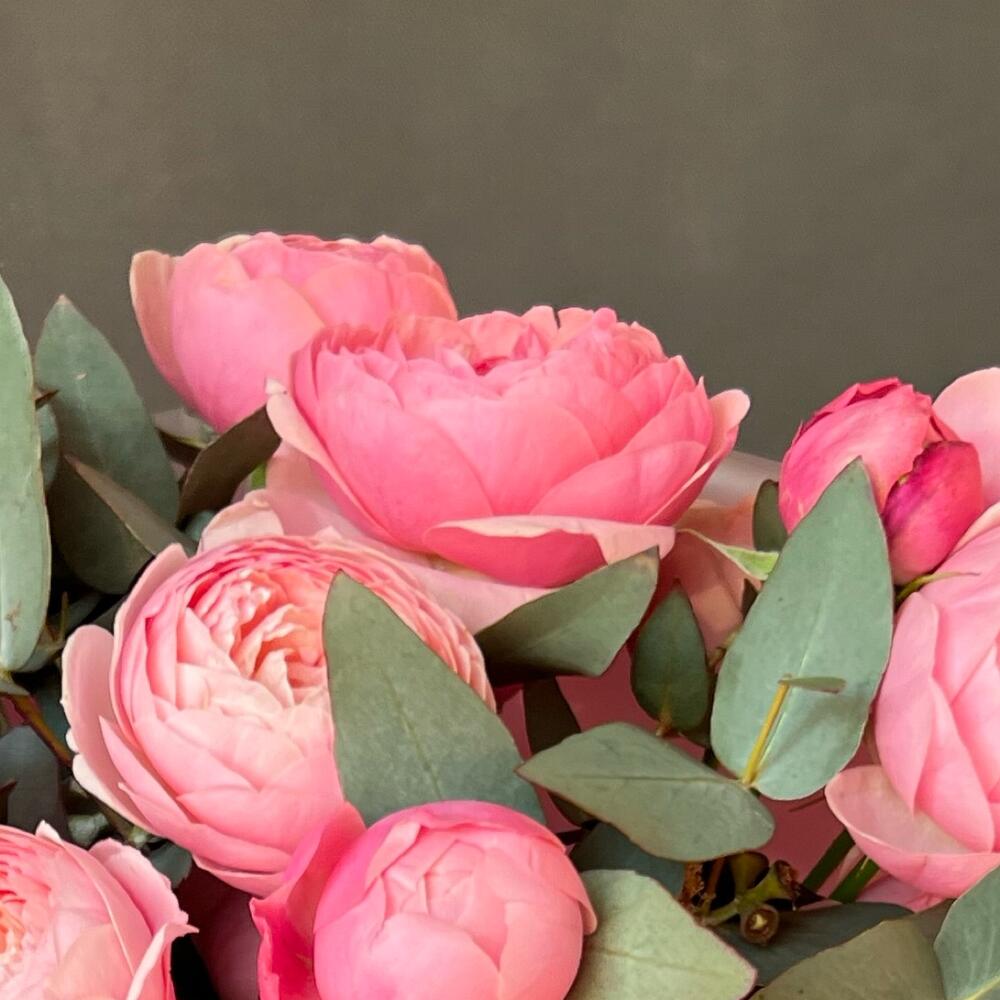 Peony-shaped crimson roses and eucalyptus