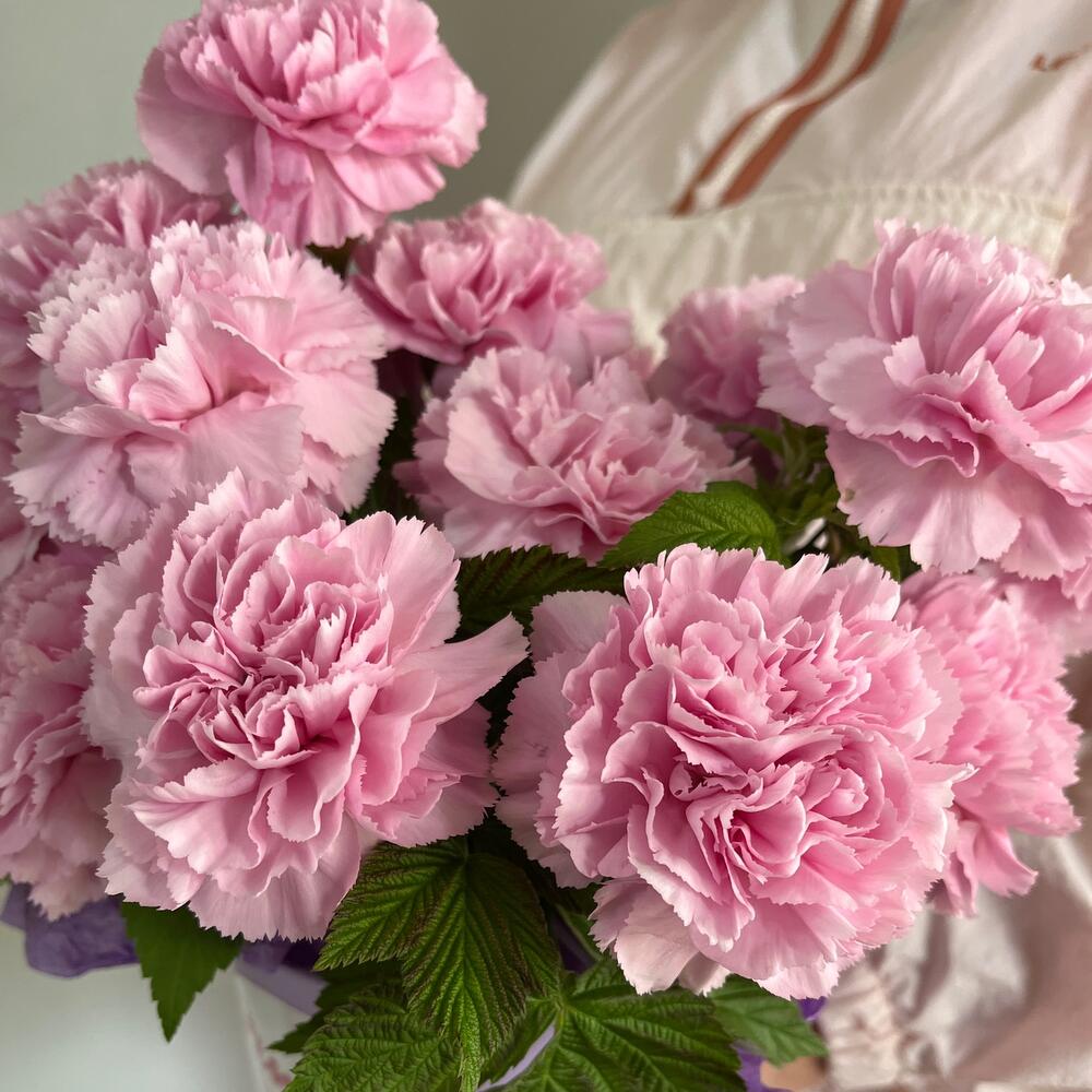 Стойкие диантусы и малина в шляпной коробке 🌸