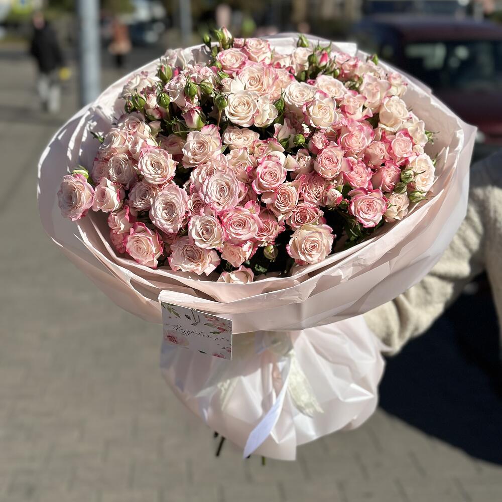 Моно рефлекс