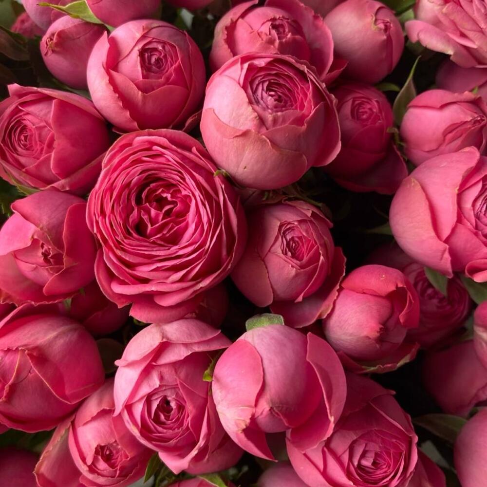 Букет "divine roses"