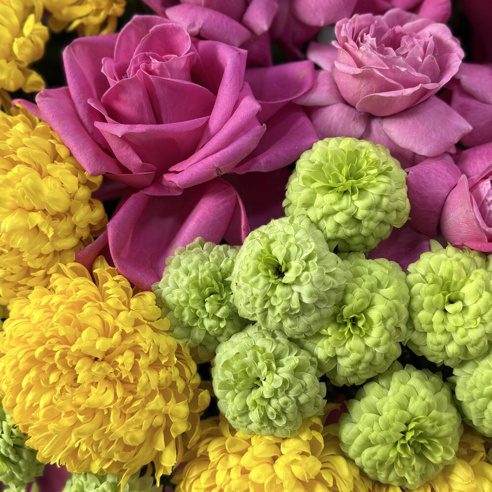 Yellow Red