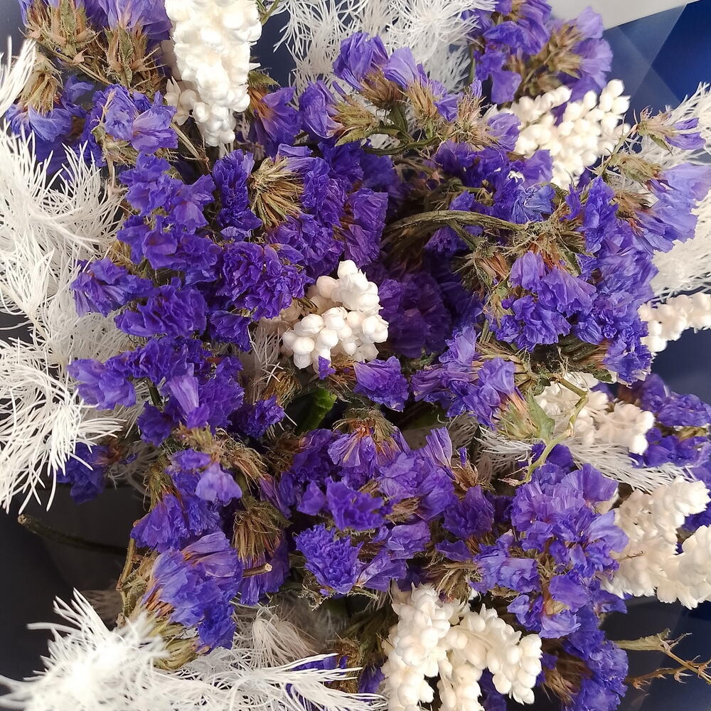 Букет из статицы, Марго, аспарагуса(сухоцветы)