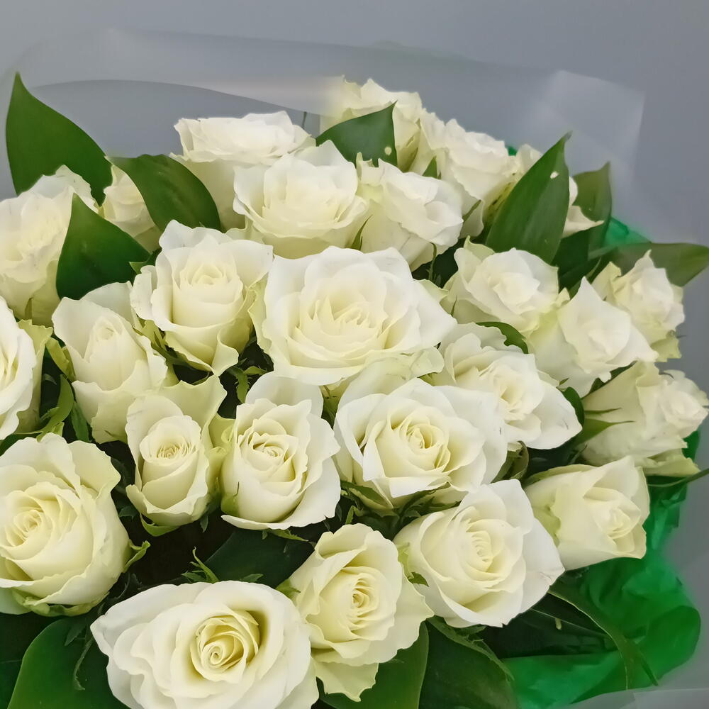 25 белых роз с зеленью
