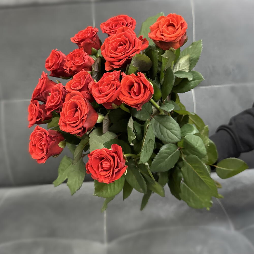Роза Ажурная Эльторо 15