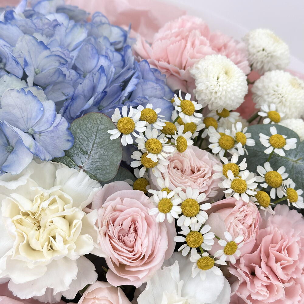 Красивые истории🌸