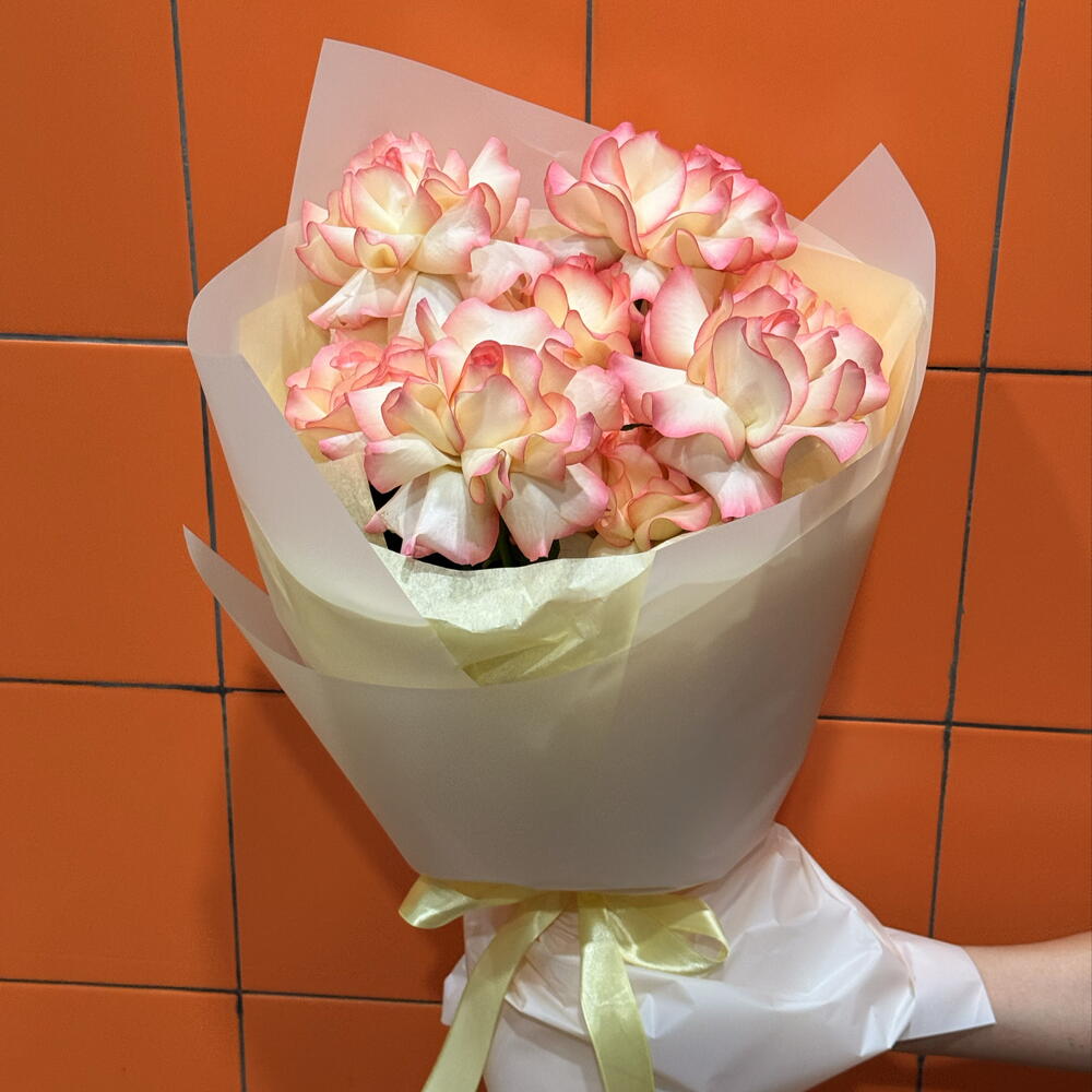 French blush