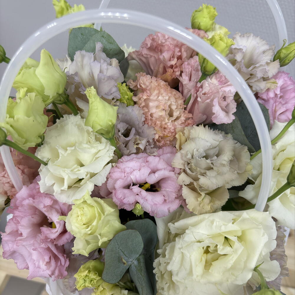 Эустома микс в сумке