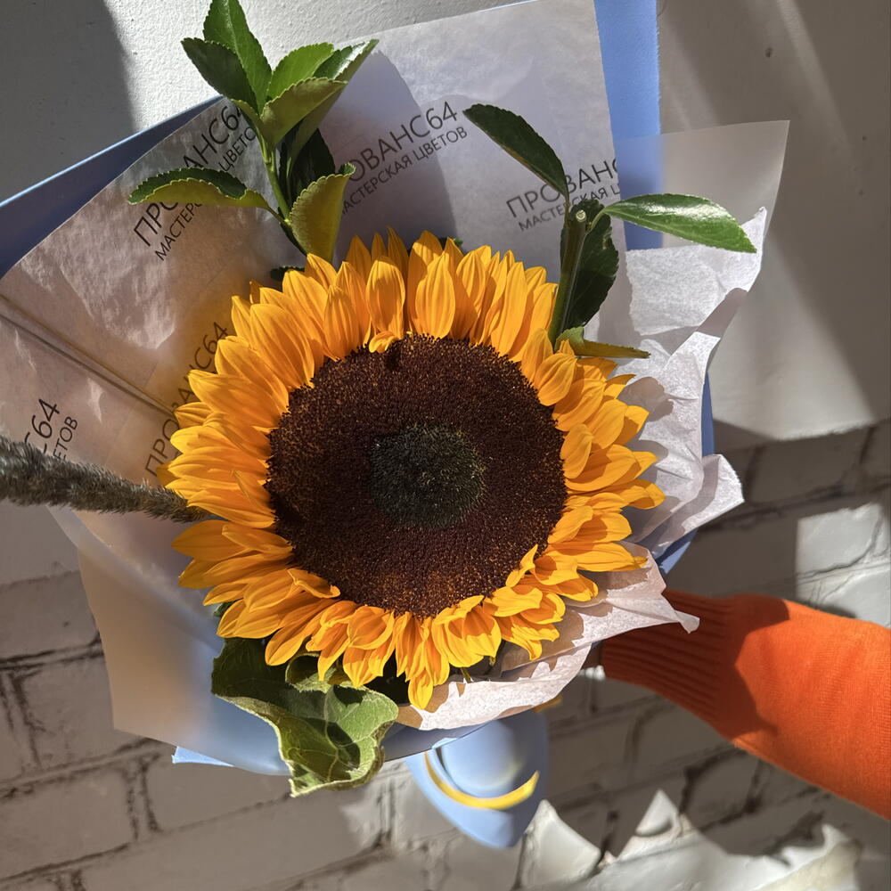 Подсолнух 🌻  1 сентября