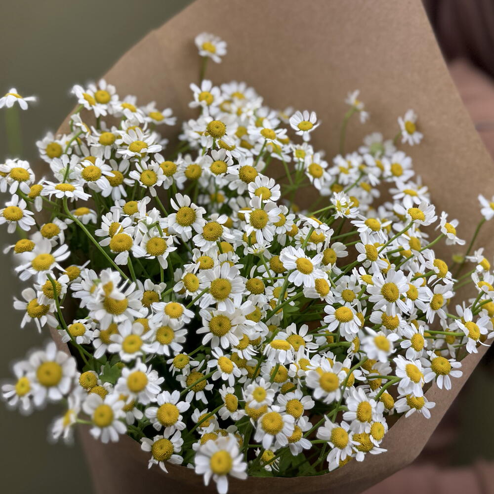 Букет из ромашки мини