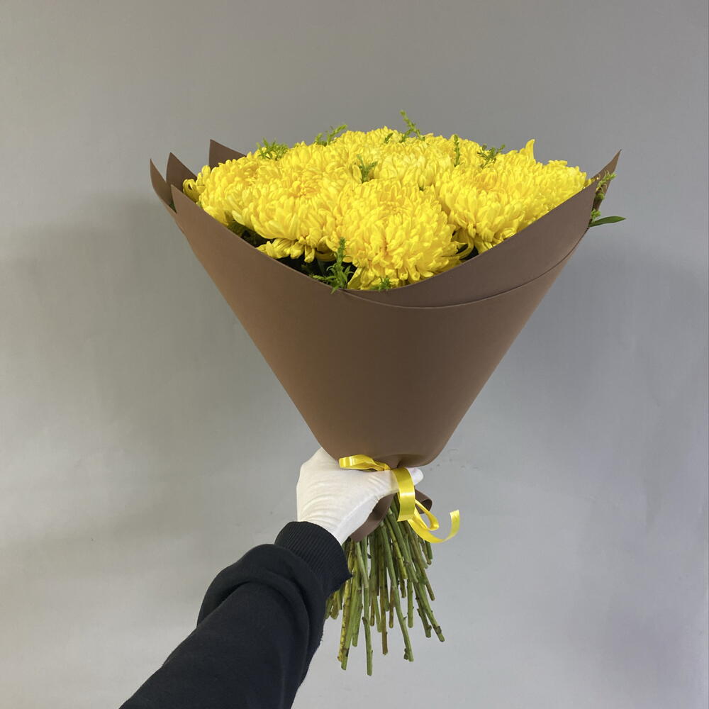 Солнечный мир