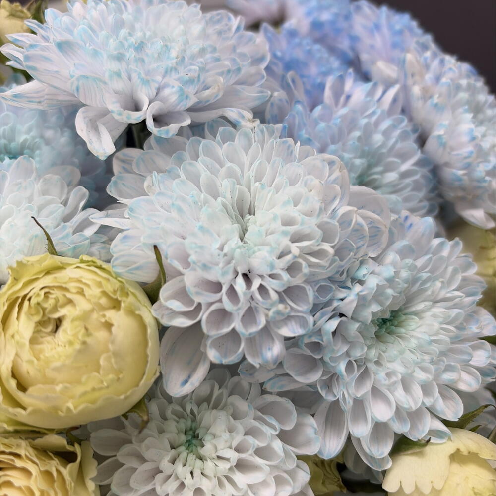 волна