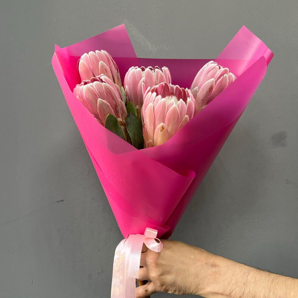 Протея в яркой упаковке 🌺