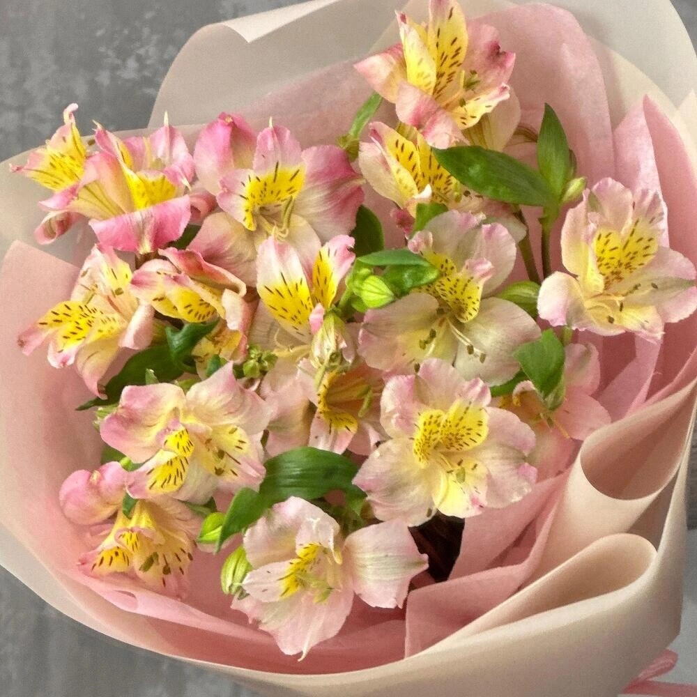 Букет комплимент нежная альстромерия 💗